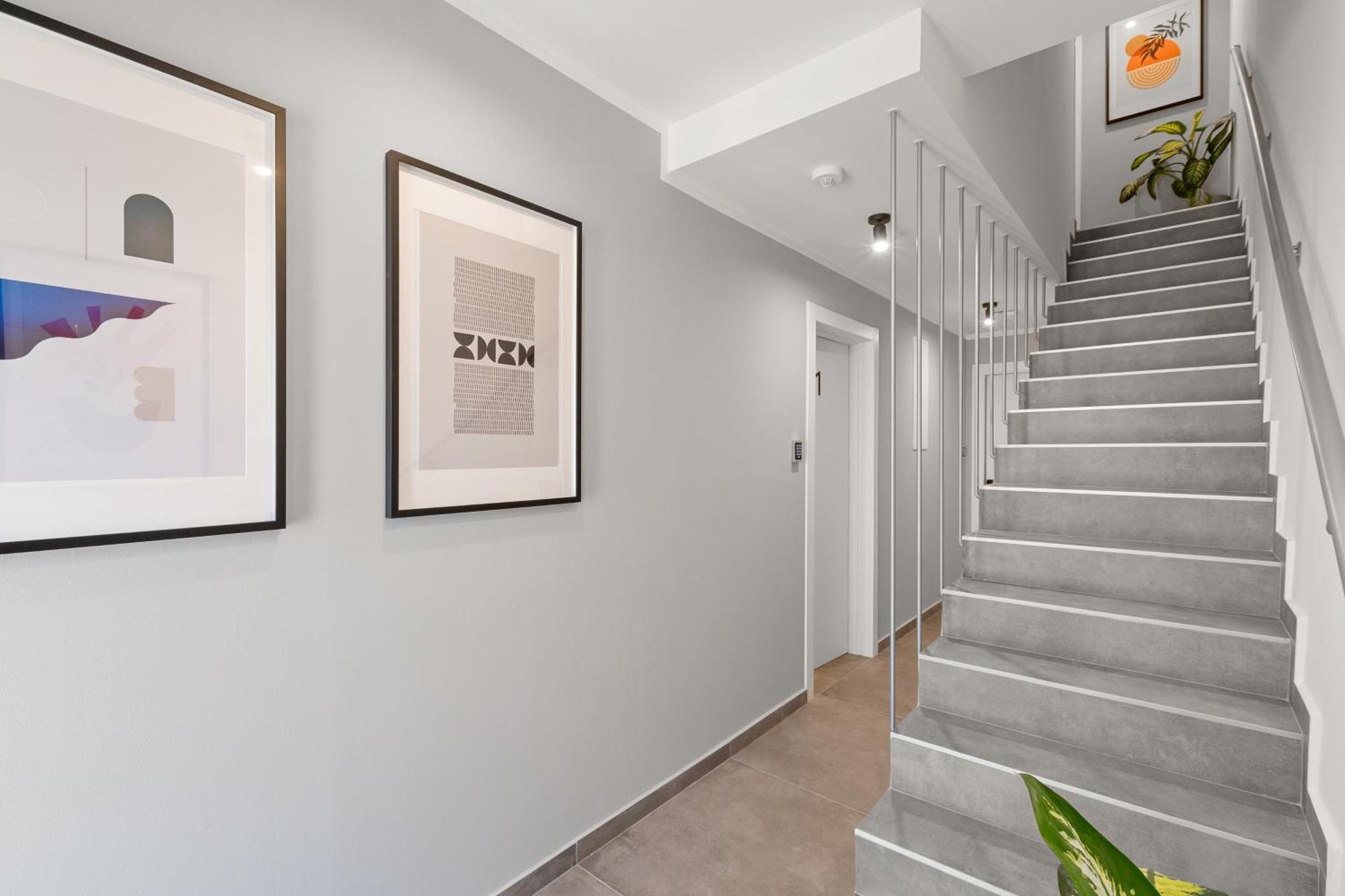 Konoba Most Rooms Бузет Екстер'єр фото